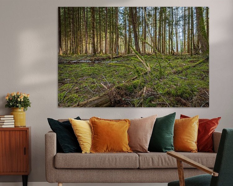 Aperçu de la chambre