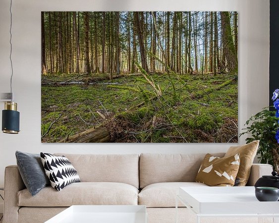 Aperçu de la chambre