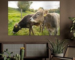 Raumvorschau