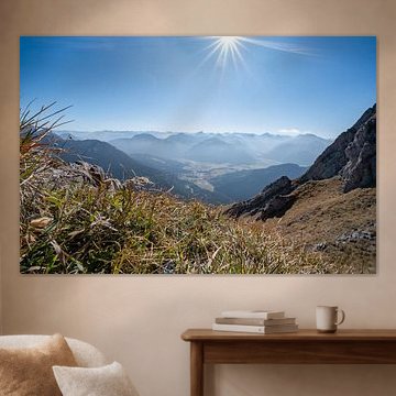 Edelweiss on the summit of the Aggenstein, with views of the Tannheimer Valley and the Allgäu Alps, including the Hochvogel
