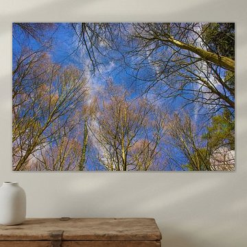 Lève les yeux sur NatureFrameByExter