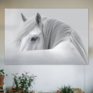 Horse Portrait in Black and White