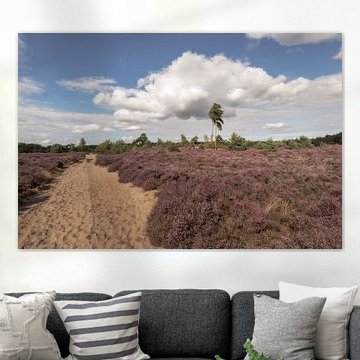 Treekerpunt Heath by klaas-pieter van den dool