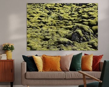  Icelandic moss landscape in bright green sur Jutta Klassen