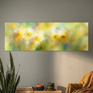 Daffodils in a Veil of Light – Panorama Flower Field