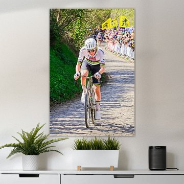 Tadej Pogacar on the Koppenberg