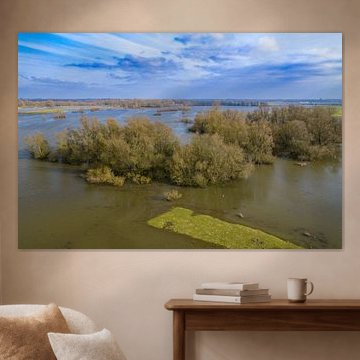 De IJssel met hoge waterstanden in de uiterwaarden van Sjoerd van der Wal Fotografie