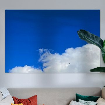 Vogel im Flug vor weißen Kumuluswolken von Theodor Decker