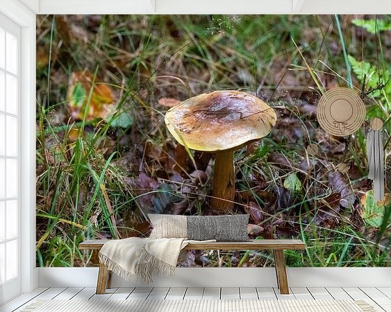 Raumvorschau