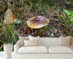 Raumvorschau