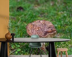 Raumvorschau