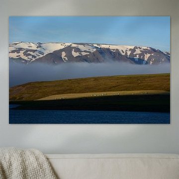 IJSLANDSE PAARDEN 10