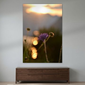 Goosebumps Flower by F.A.L.K.E. photography and art