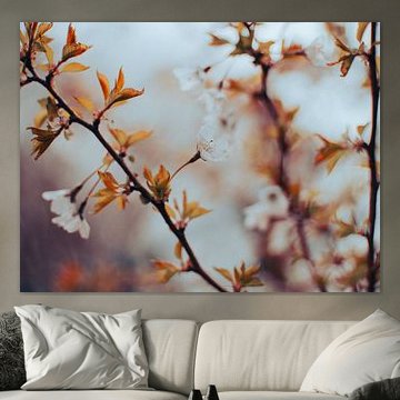 Beruhigende Frühlingsblüte