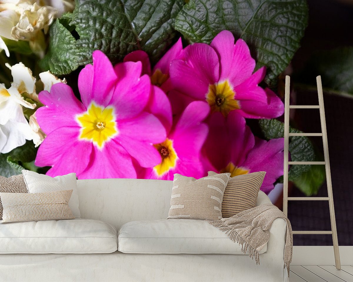 Raumvorschau