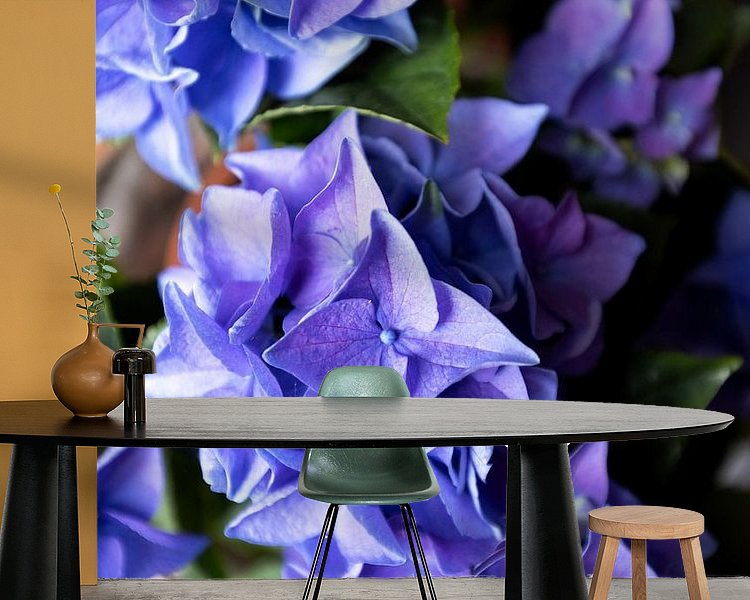 Raumvorschau