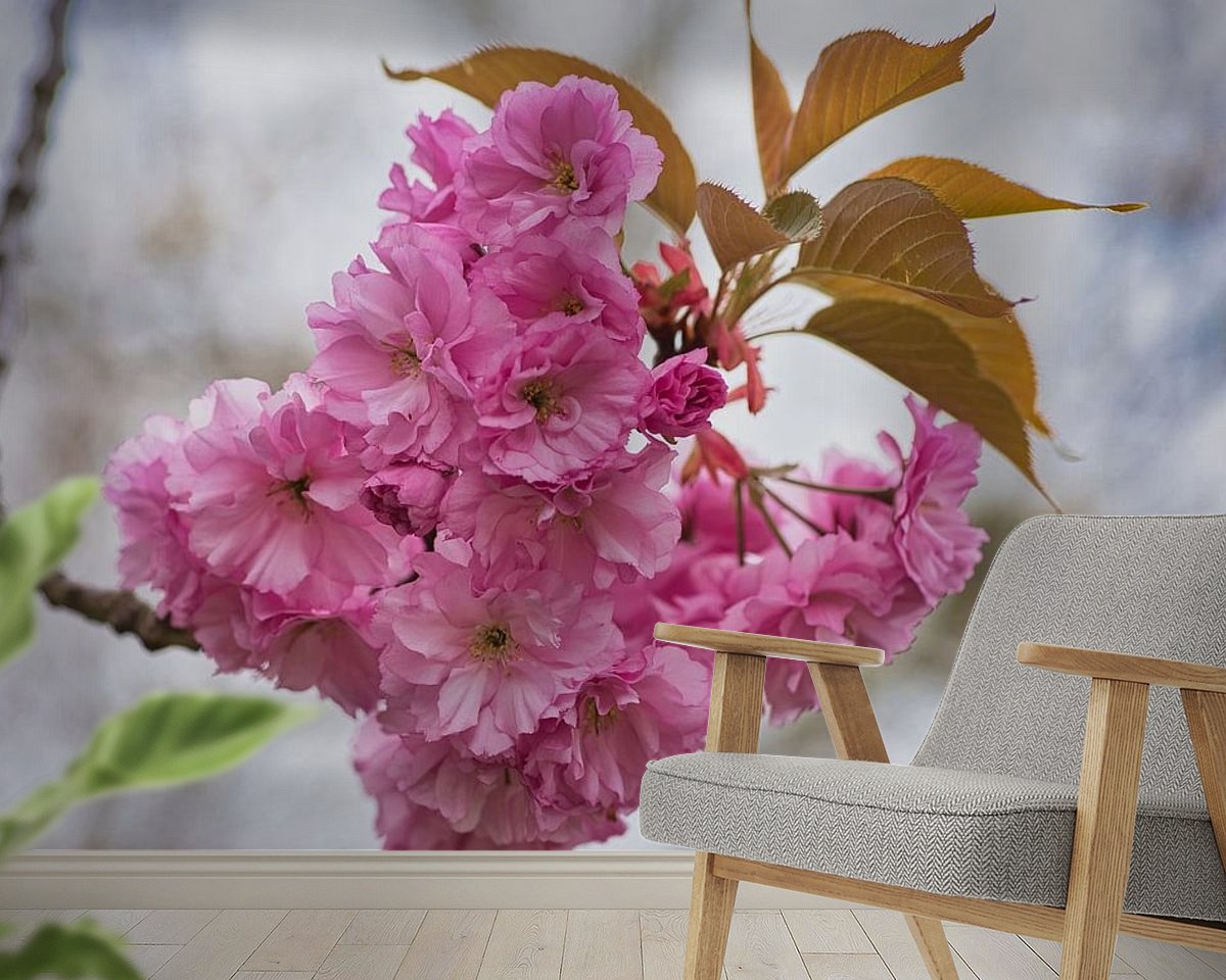 Raumvorschau