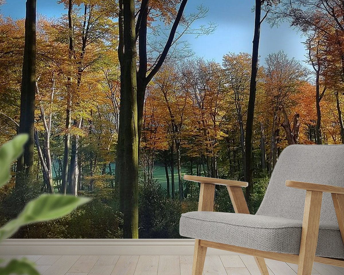 Raumvorschau