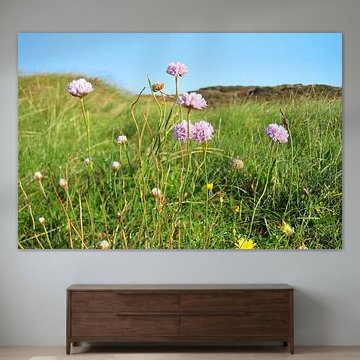 Blühende Grasnelken auf einer Küstenwiese von Theodor Decker