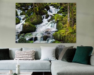 Waterfall Black Forest 2 by Anouschka Hendriks