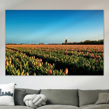 Mühle „De Hoop“ mit Tulpen von Ilya Korzelius