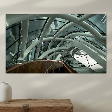 Fenix Rotterdam van Frank Lavooij