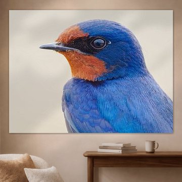 Porträt einer Rauchschwalbe von Laurens de Waard