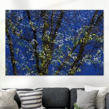 PRINTEMPS 12 sur Miroslav Ptacek