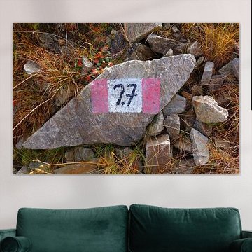 Rocher balisé sur le sentier de montagne