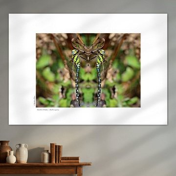 Blauwgroene mozaïeklibel