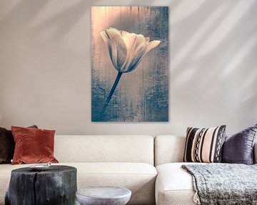 Artistic tulip, photo and art in one. by François Kerremans