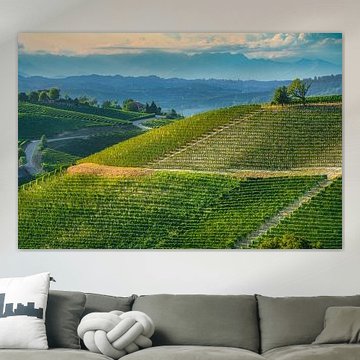 Panorama des vignobles des Langhe près de Neive, dans le Piémont, en Italie sur Stefano Orazzini