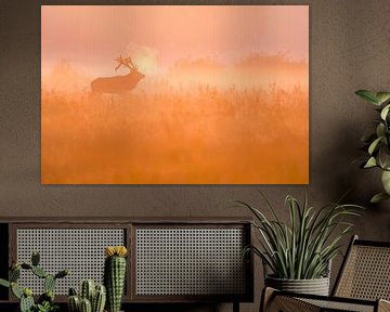red deer by Bob Luijks