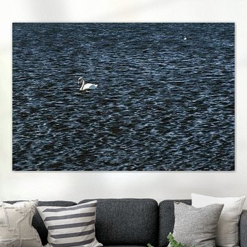 WITTE ZWAAN 5 van Miroslav Ptacek