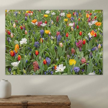 des fleurs printanières au mur