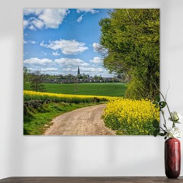 Rapsfelder in Südlimburg