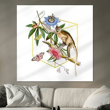 a Monkey Business Collage