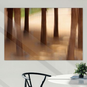 CÁDIZ CASTILLO SANTA CATALINA ICM - tree school