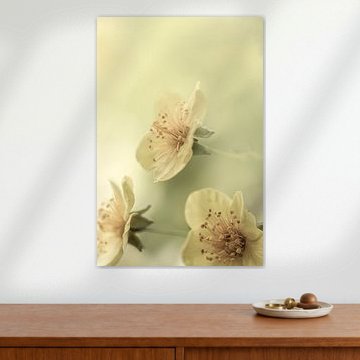 A dreamy atmosphere.