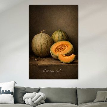 Melon, cantaloupe. by Bert Quaedvlieg
