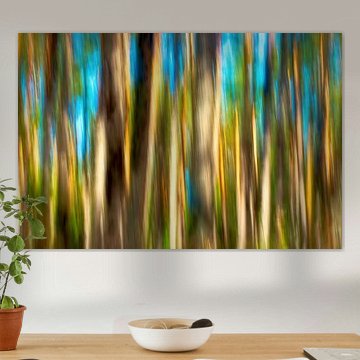 INSEL FISCHLAND-DARSS-ZINGST ICM - shining trees