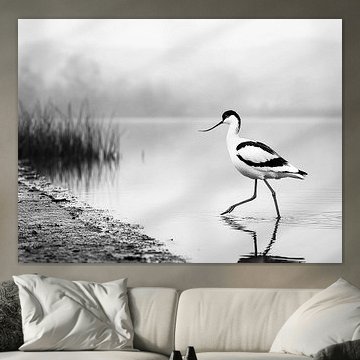 De Stille Stap | Waar Vogel en Nevel Samenvallen van KRAB