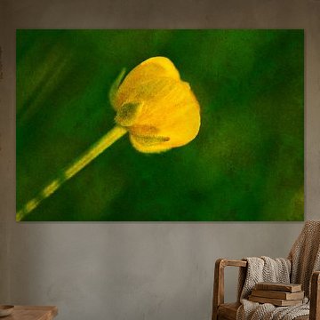 Buttercup 1: picturesque by Jaap Tanis