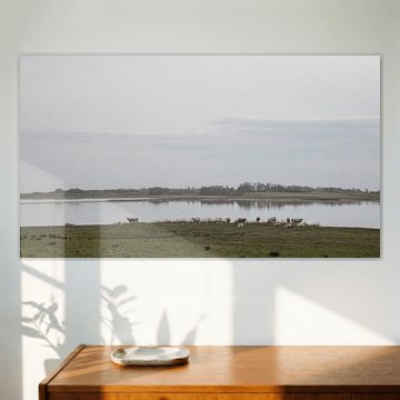 Summer at the Fjord of Glomstrup by Lene Shannon