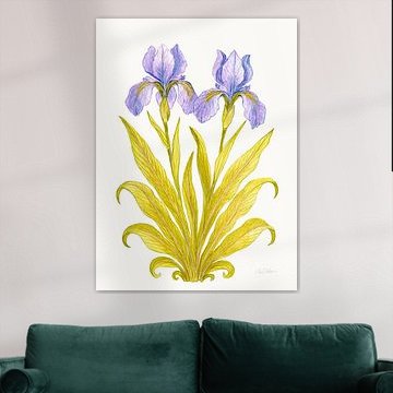 Iris von stiller Eleganz – Seide, cremefarben von Piret Victoria Ribas Art & Photography