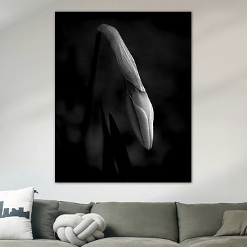 Es gibt immer Hoffnung (I) von BS Photography