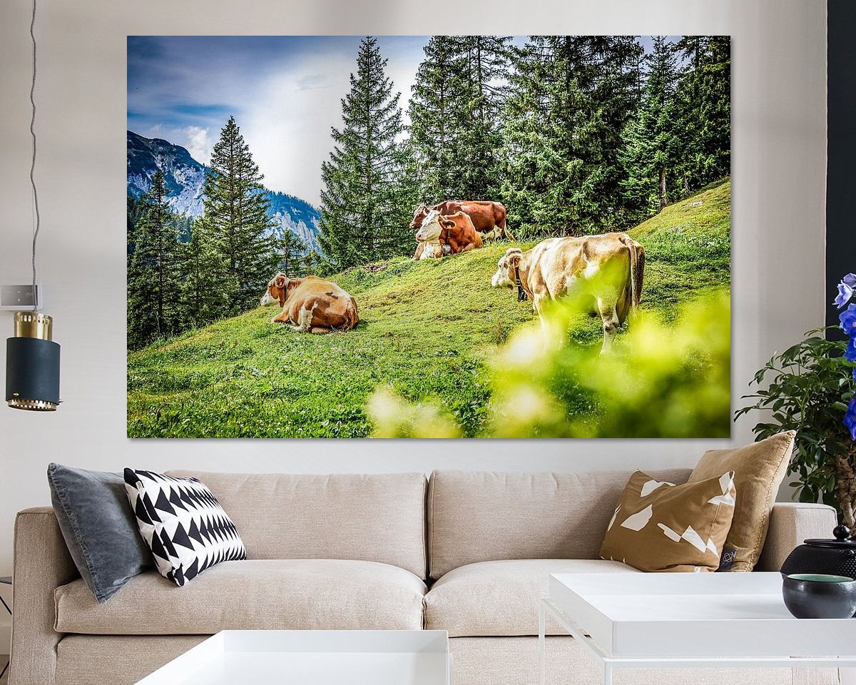 Raumvorschau