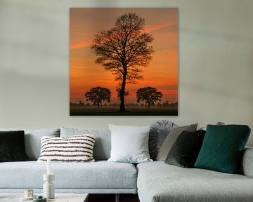 Sunset Tree II van Martin Podt