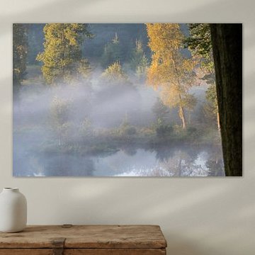 Des arbres à feuilles caduques dans la brume, au bord d'un lac forestier.