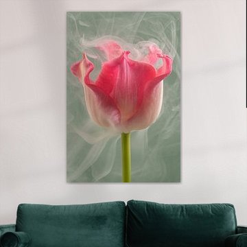 Ein flüchtiger Moment: Eine rosa Tulpe im Rauch von Marjolijn van den Berg